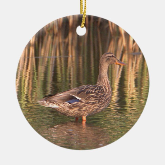 Mallard Anka i Vatten Ornament (Framsidan)