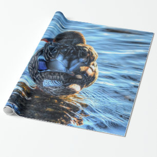 Mallard Anka i Winter River - Wildlife Photo Presentpapper