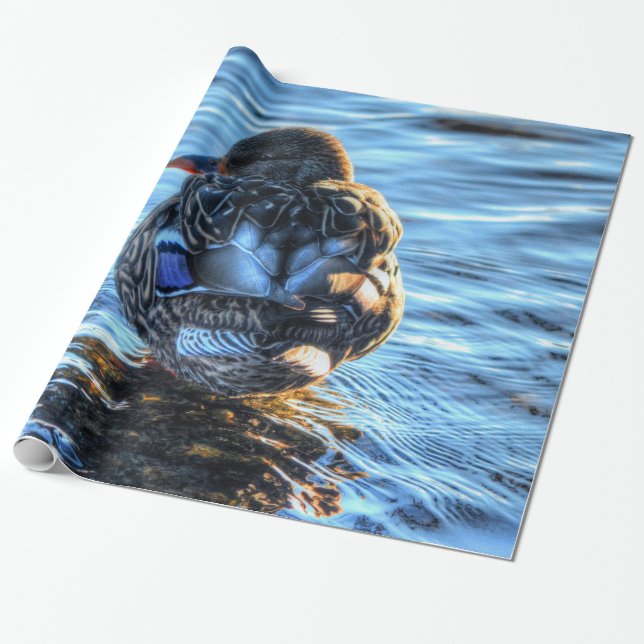 Mallard Anka i Winter River - Wildlife Photo Presentpapper (Utrullad)