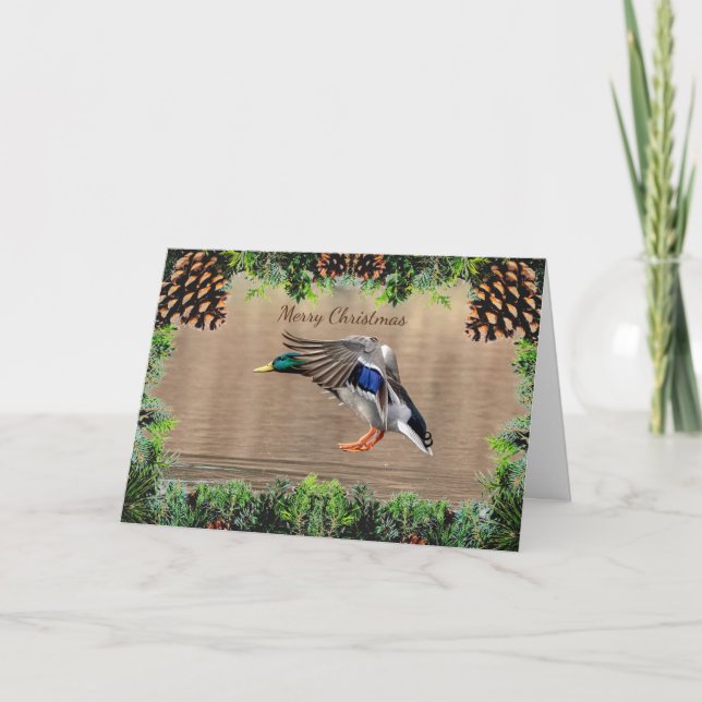 Mallard Anka-julkort Kort (Framsida)