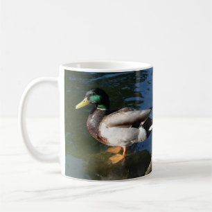 Mallard Anka Kaffemugg