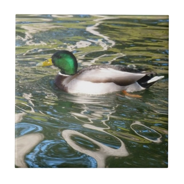 Mallard Anka Kakelplatta (Framsidan)
