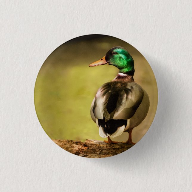 Mallard Anka Knapp (Framsida)