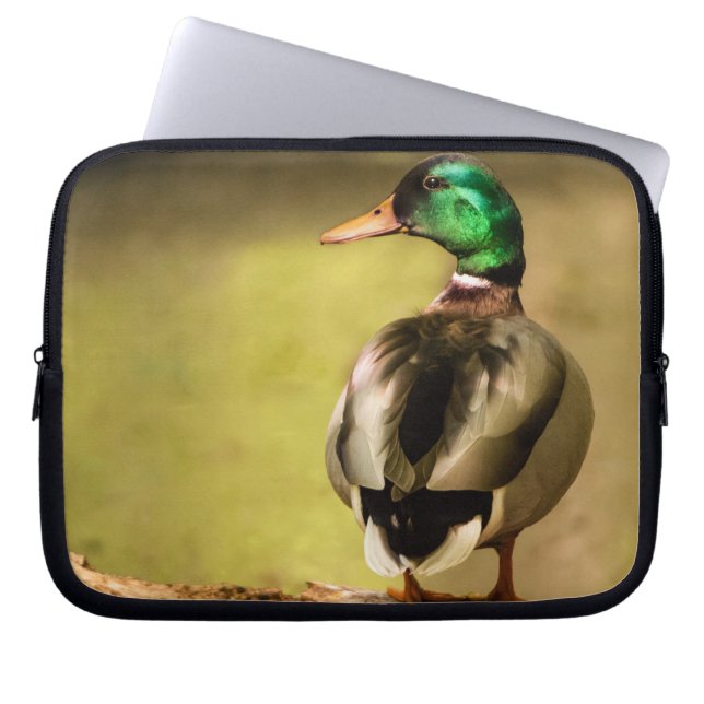 Mallard Anka Laptop Fodral (Framsidan)