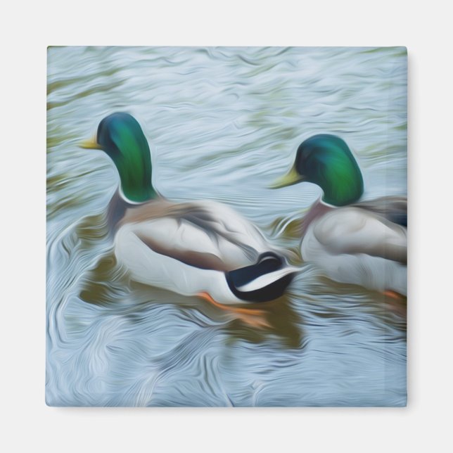Mallard Anka Magnet (Framsidan)