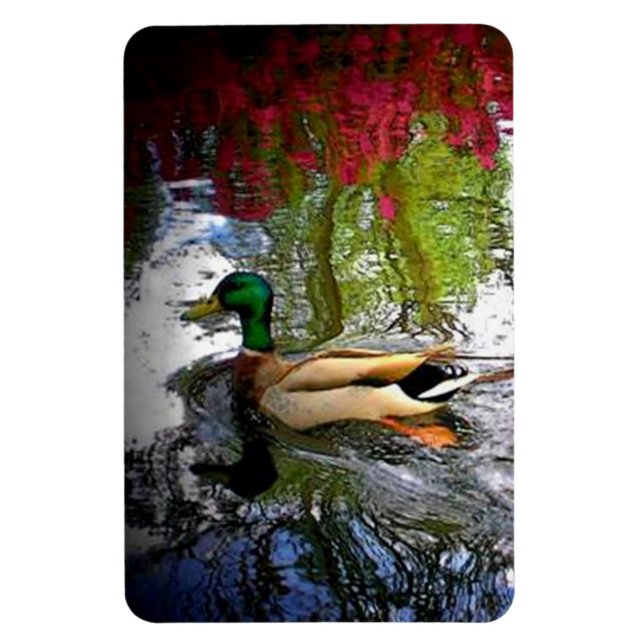Mallard Anka Magnet (Vertikal)