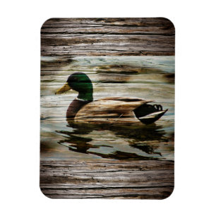 Mallard Anka Magnet