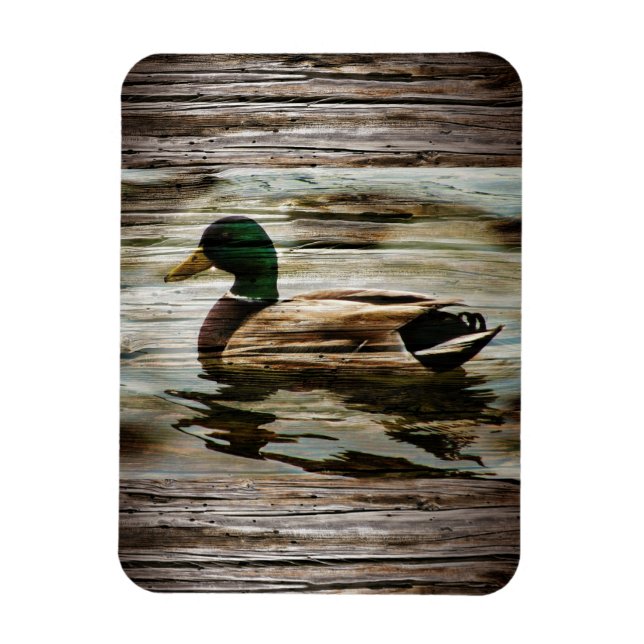 Mallard Anka Magnet (Vertikal)