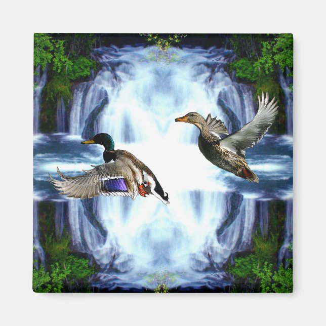 Mallard anka magnet (Framsidan)