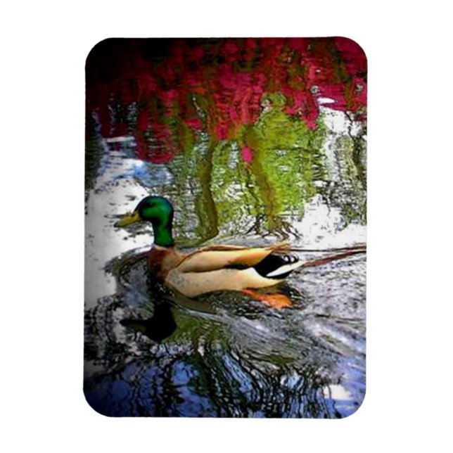 Mallard anka Magnet-Design 2 Magnet (Vertikal)