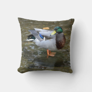 Mallard Anka (Male) i Bäck Pillow Kudde