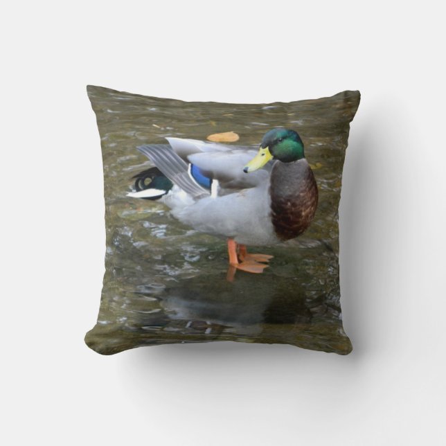 Mallard Anka (Male) i Bäck Pillow Kudde (Framsida)