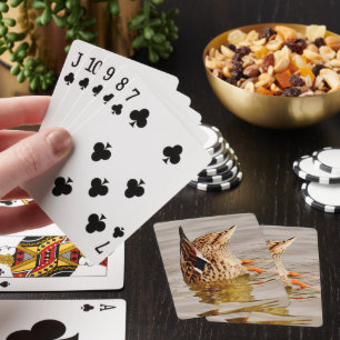 Mallard Anka Matande undervatten Casinokort