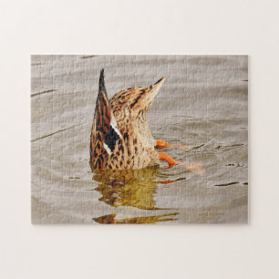 Mallard Anka Matande undervatten Pussel