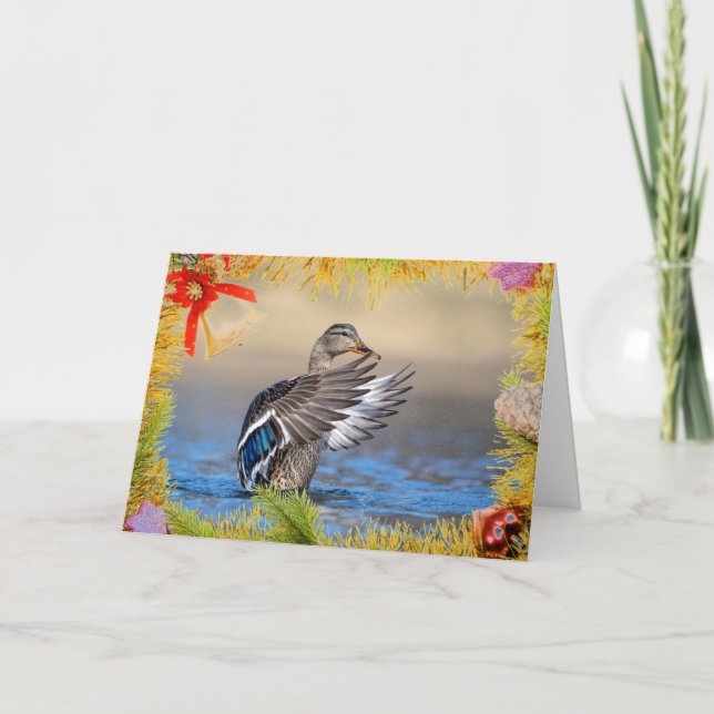 Mallard Anka om ett julkort Kort (Framsida)
