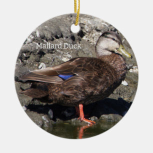 Mallard Anka Ornament