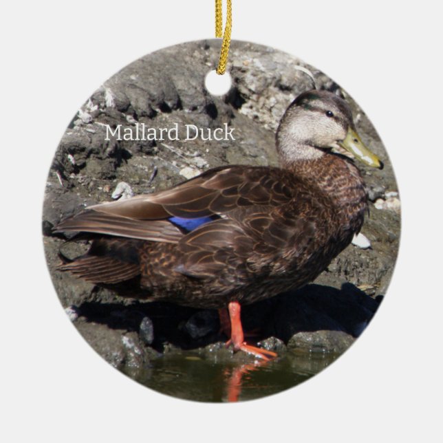 Mallard Anka Ornament (Framsidan)