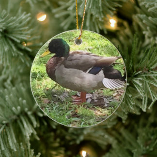 Mallard Anka Ornament