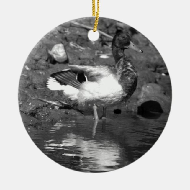 Mallard Anka Ornament (Framsidan)