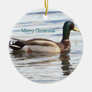 Mallard Anka Ornament