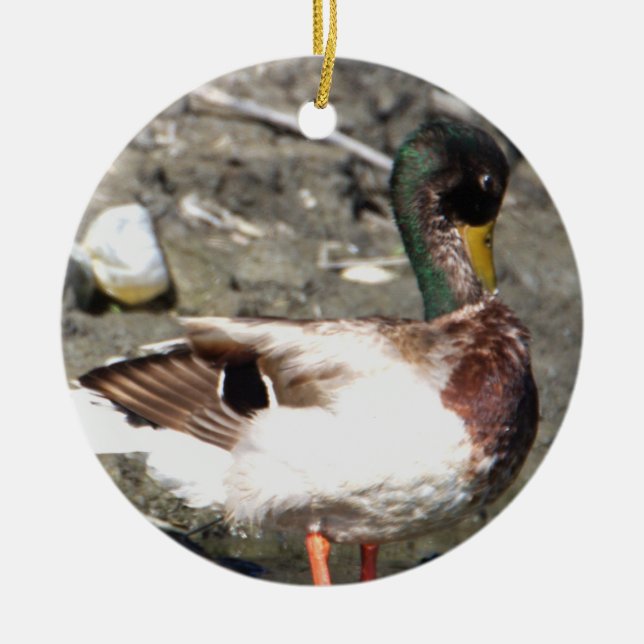 Mallard Anka Ornament (Framsidan)