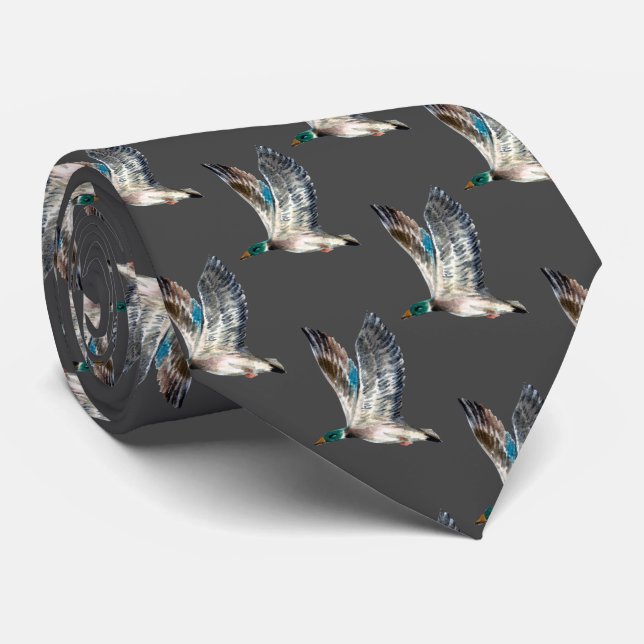 Mallard Anka på Grått Slips (Rullad)
