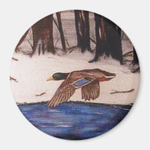 Mallard Anka på Uppdrag