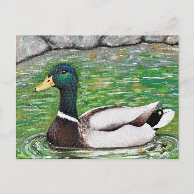Mallard Anka Painting Vykort (Framsida)
