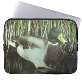Mallard Anka Photo Distinctive Male Sjö Bird Laptop Fodral