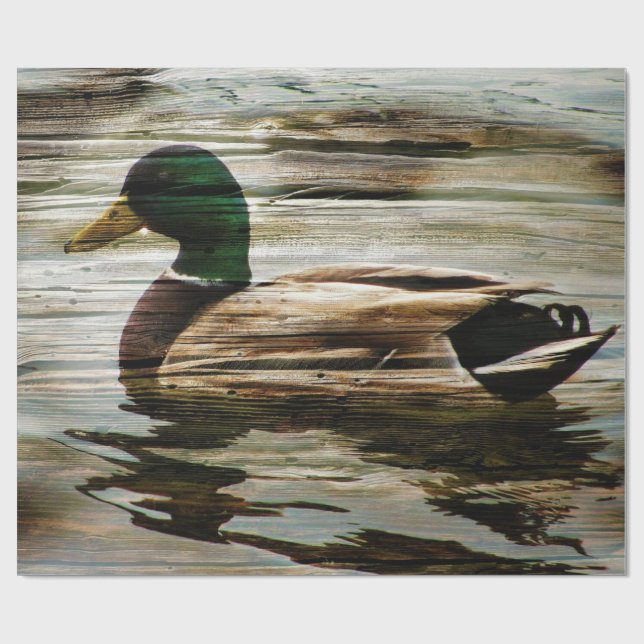 Mallard Anka Presentpapper (Platt)
