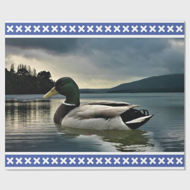Mallard Anka Presentpapper (Platt)