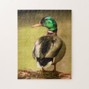 Mallard Anka Pussel