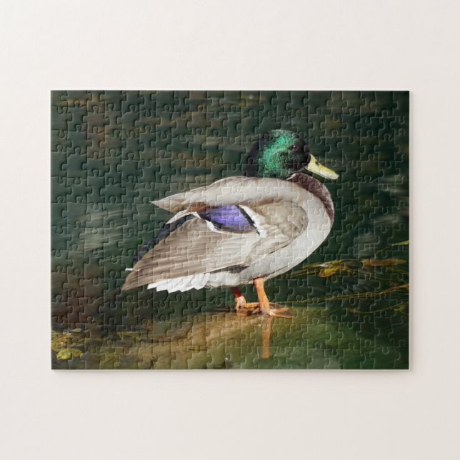 Mallard Anka Puzzle Pussel (Horisontell)