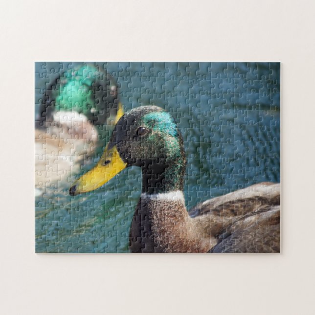 Mallard Anka Puzzle Pussel (Horisontell)