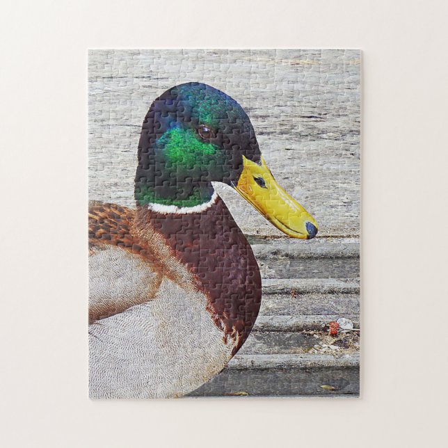 Mallard anka Puzzle Pussel (Vertikal)