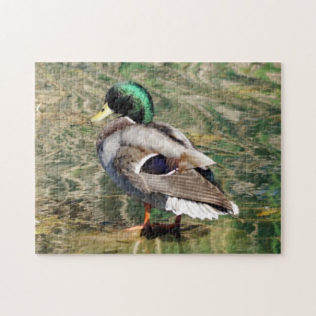 Mallard Anka Puzzle Pussel (Horisontell)