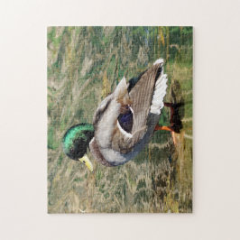 Mallard Anka Puzzle Pussel
