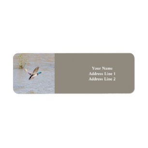 Mallard Anka Return-adressetikett Returadress Etikett