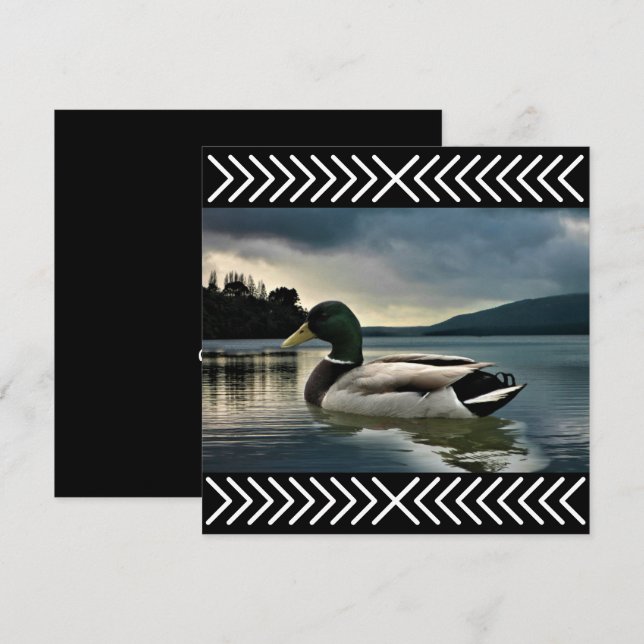 Mallard Anka Sjö (Fram/baksida)