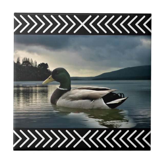 Mallard Anka Sjö Kakelplatta (Framsidan)
