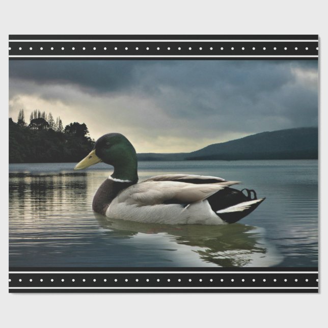 Mallard Anka Sjö Presentpapper (Platt)