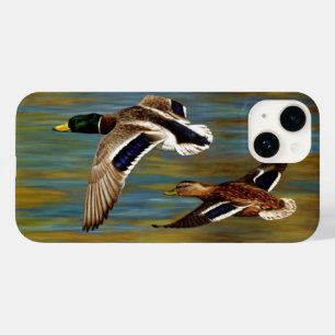 Mallard Anka som flyger över Pond