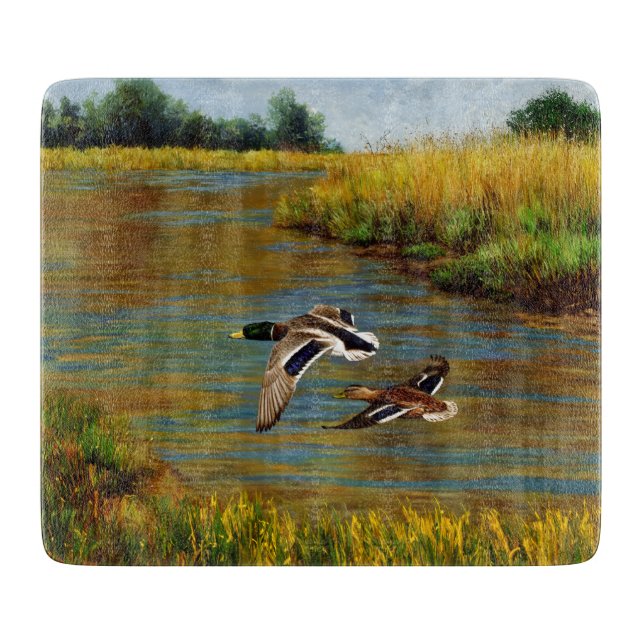 Mallard Anka som flyger över Pond (Framsidan)
