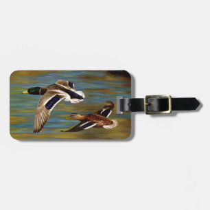 Mallard Anka som flyger över Pond Bagagebricka