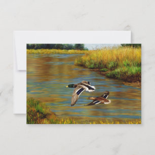 Mallard Anka som flyger över Pond Inbjudningar