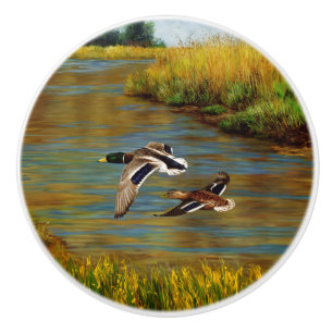 Mallard Anka som flyger över Pond Knopp