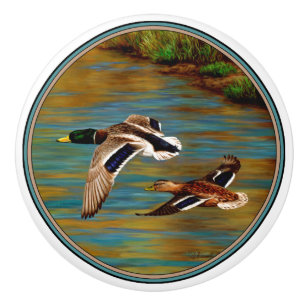 Mallard Anka som flyger över Pond Knopp