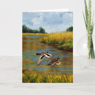 Mallard Anka som flyger över Pond Kort