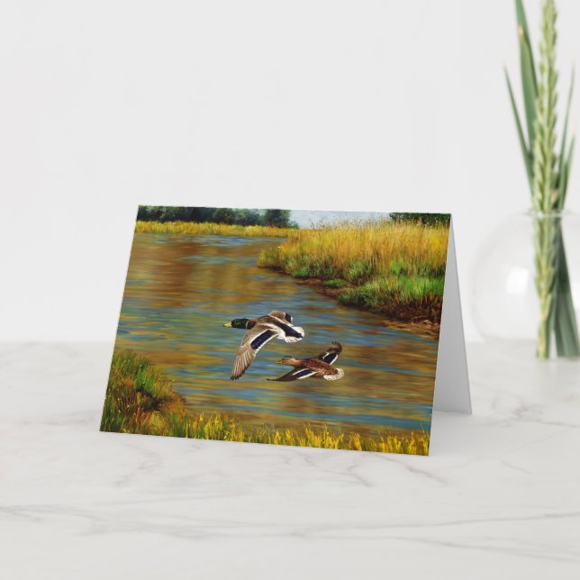 Mallard Anka som flyger över Pond Kort (Framsida)