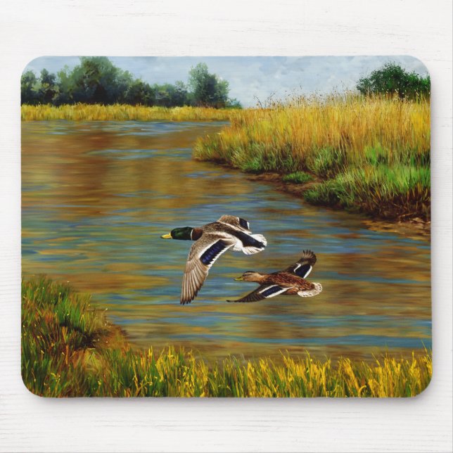Mallard Anka som flyger över Pond Musmatta (Framsidan)